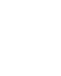 Chivit